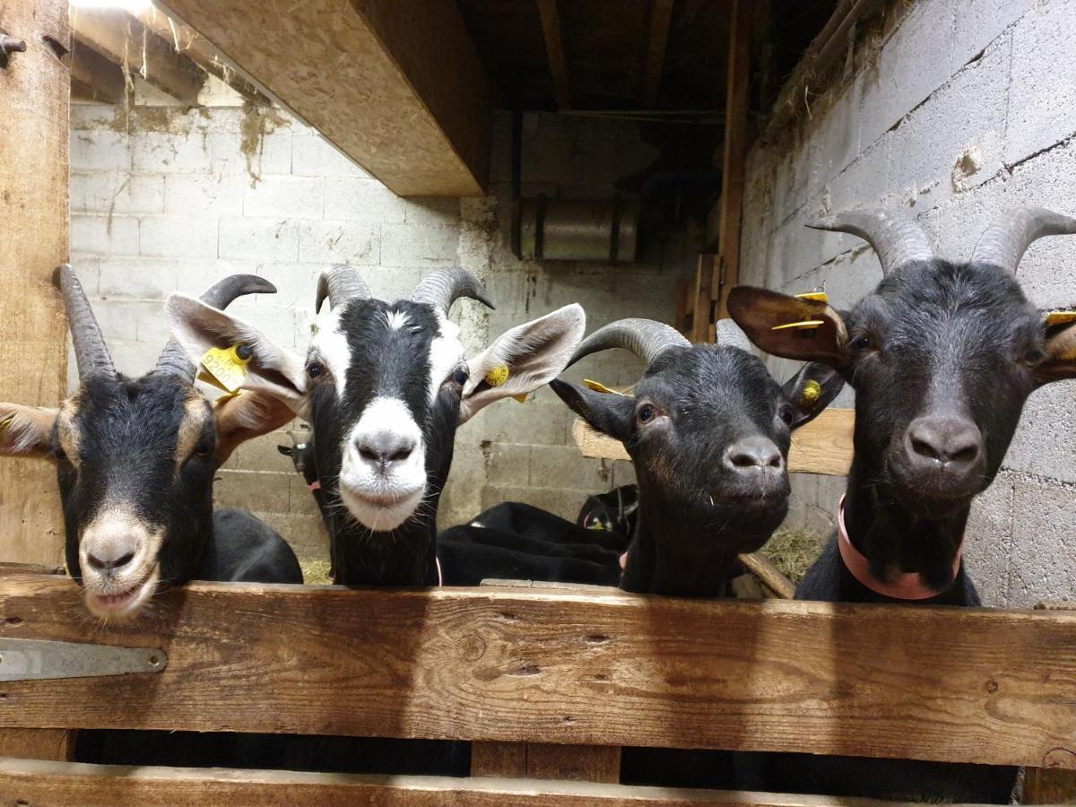 Chambre D'Hotes A La Ferme Beaune  Dış mekan fotoğraf